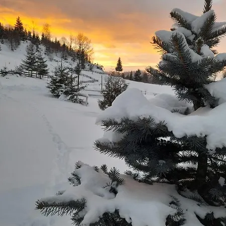 Trei Brazi Chalet