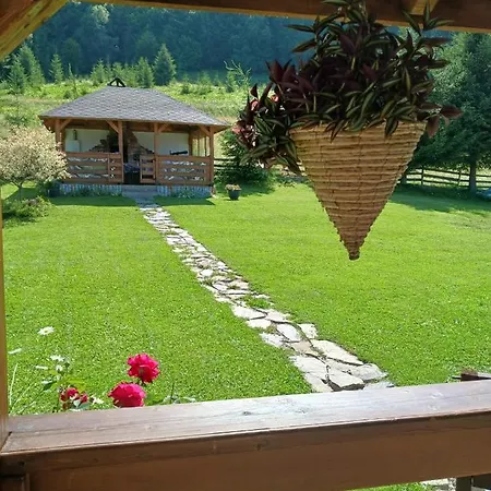 Chalet Trei Brazi *