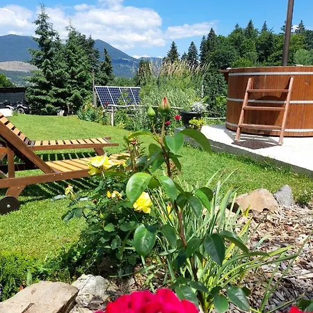 Chalet Trei Brazi *