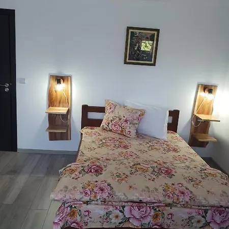 Chalet Trei Brazi *