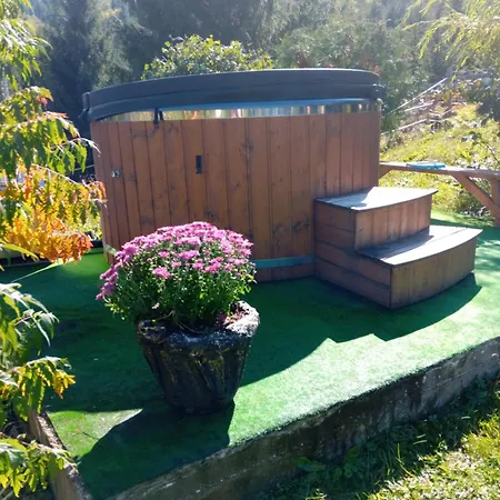 Trei Brazi Chalet